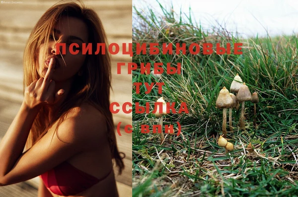 каннабис Алексеевка